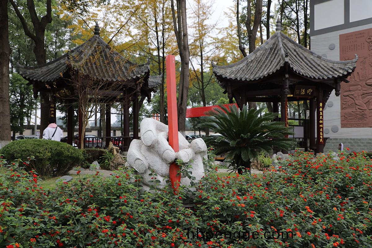 1670034241693446.jpg IMG_4392.JPG